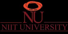NIIT University