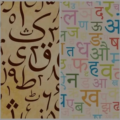Urdu or Hindi: what are you really speaking?