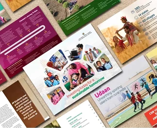 Chambal fertilisers and chemicals Ltd.