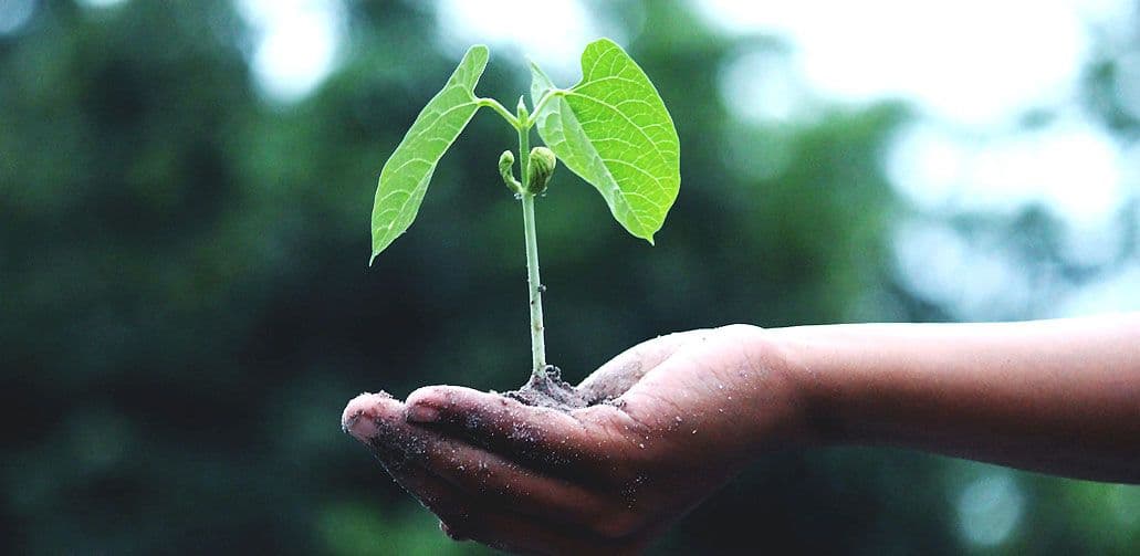 7 content formats that work best for sustainability communication