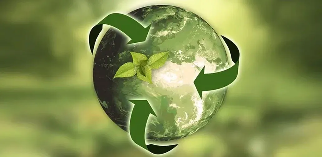 Why should you prioritise sustainability communication now?